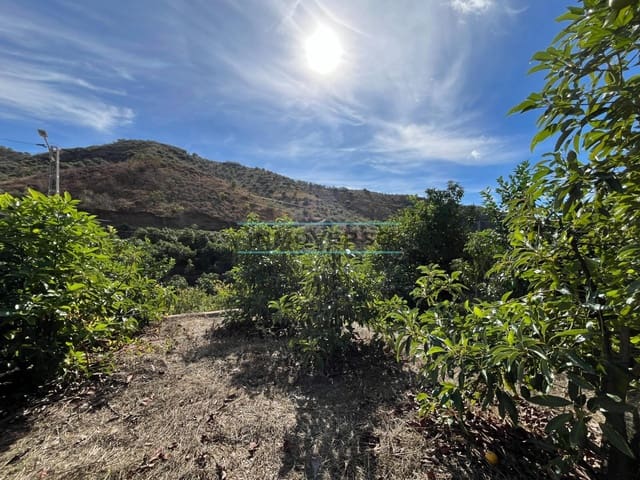 Tontti myytävänä paikassa Río Bermuza, Canillas de Aceituno - 44 000 € (Ref: 9355797)