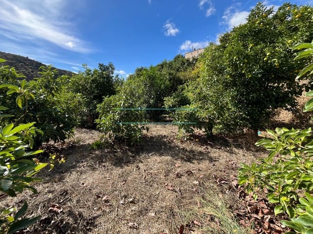 Tontti myytävänä paikassa Río Bermuza, Canillas de Aceituno - 44 000 € (Ref: 9355797)