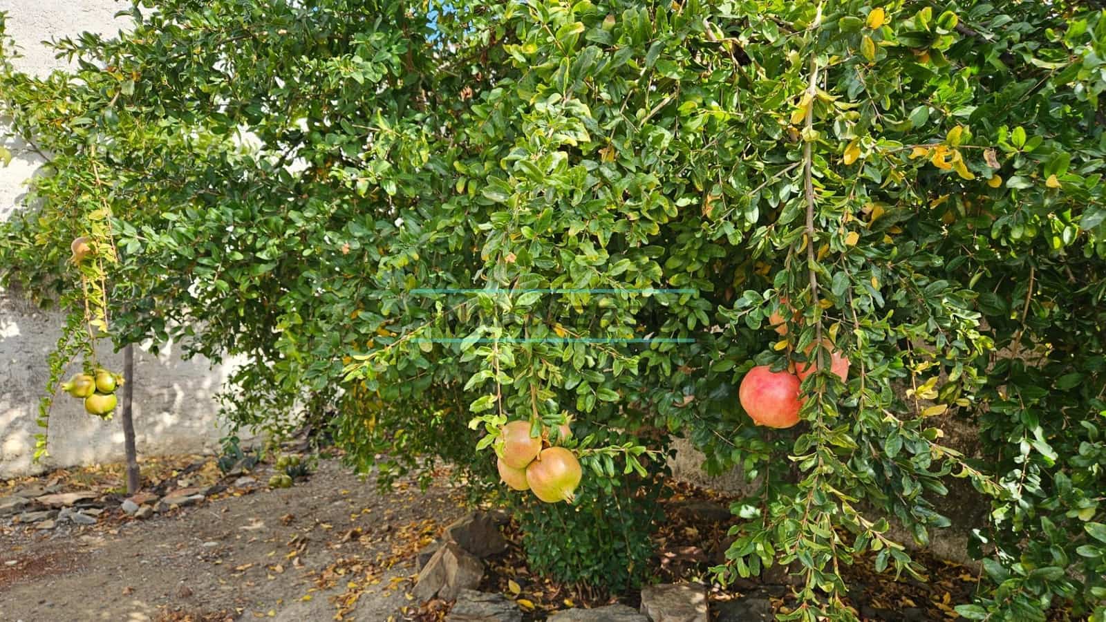 6 sypialnia Willa na sprzedaż w Benaque z garażem - 394 000 € (Ref: 9359532)