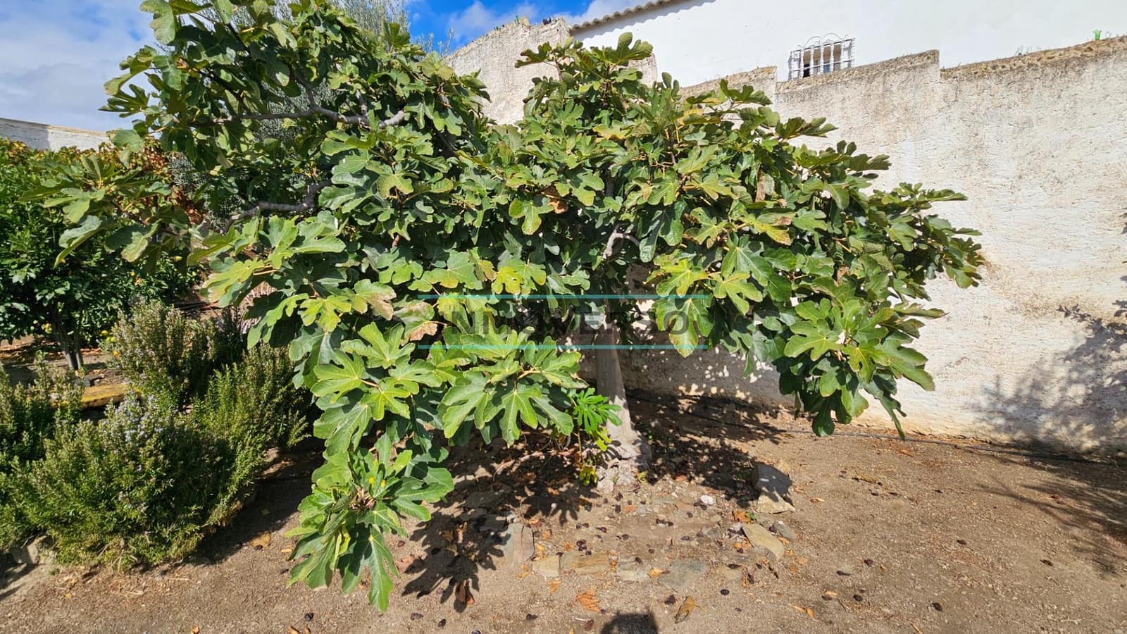 6 sypialnia Willa na sprzedaż w Benaque z garażem - 394 000 € (Ref: 9359532)