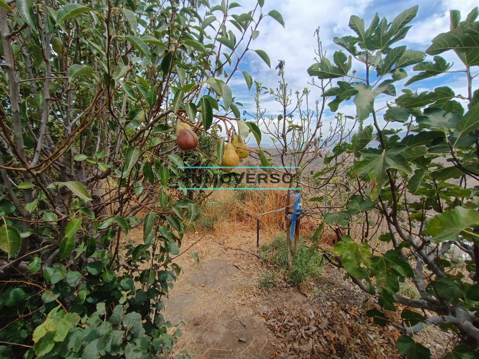 3 sypialnia Finka/Dom wiejski do wynajęcia w Moclinejo - 2 000 € (Ref: 9414051)