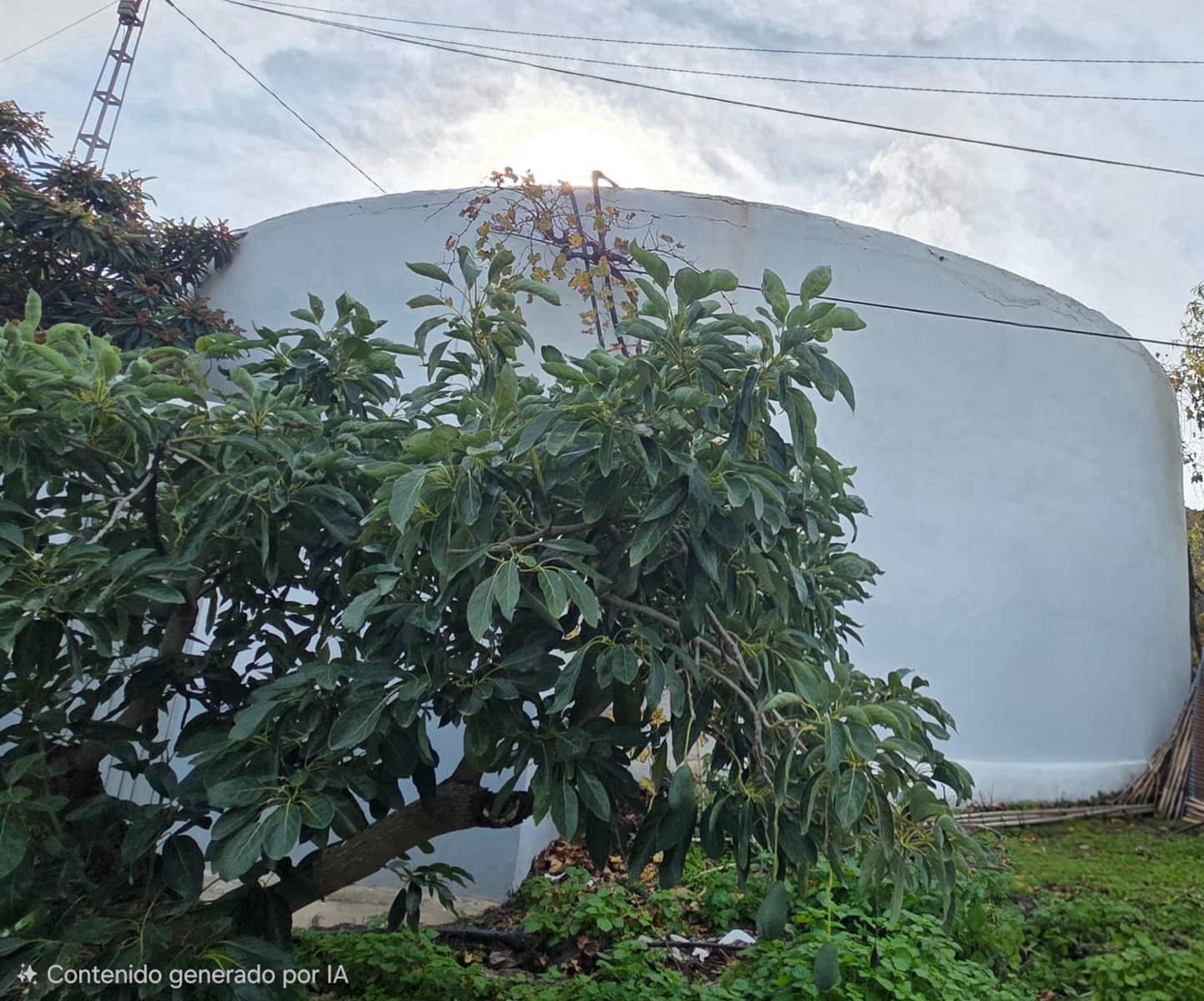 Terreno/Finca Rústica en Sayalonga en venta - 300.000 € (Ref: 9470363)