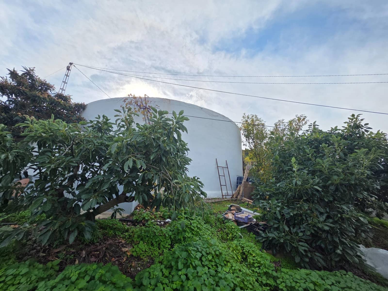 Terreno/Finca Rústica en Sayalonga en venta - 300.000 € (Ref: 9470363)