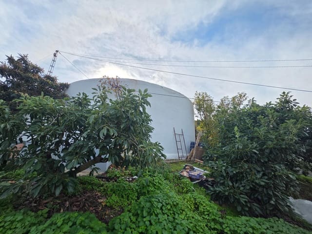 Terreno/Finca Rústica en Sayalonga en venta - 300.000 € (Ref: 9470363)