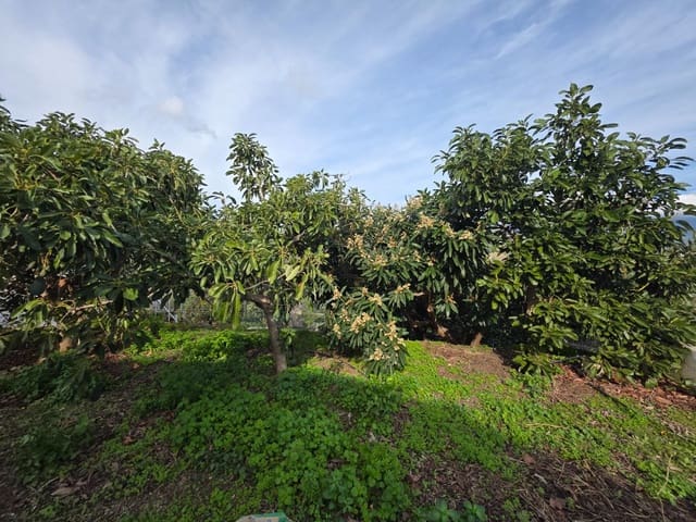 Terreno/Finca Rústica en Sayalonga en venta - 300.000 € (Ref: 9470363)