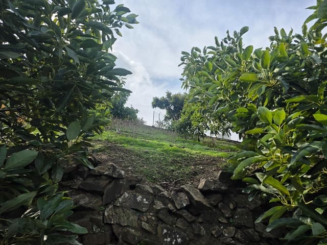 Terreno/Finca Rústica en Sayalonga en venta - 300.000 € (Ref: 9470363)