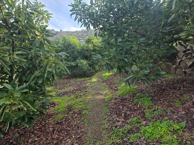 Terreno/Finca Rústica en Sayalonga en venta - 300.000 € (Ref: 9470363)