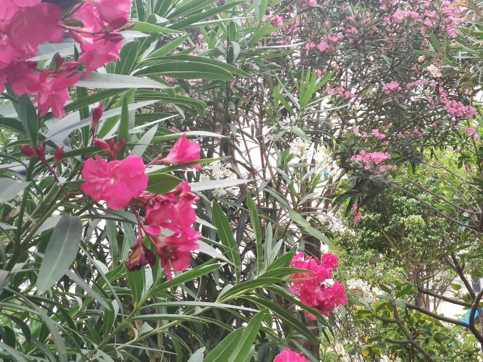 1 bedroom Apartment for sale in La Cala del Moral with pool - € 195,000 (Ref: 9488338)