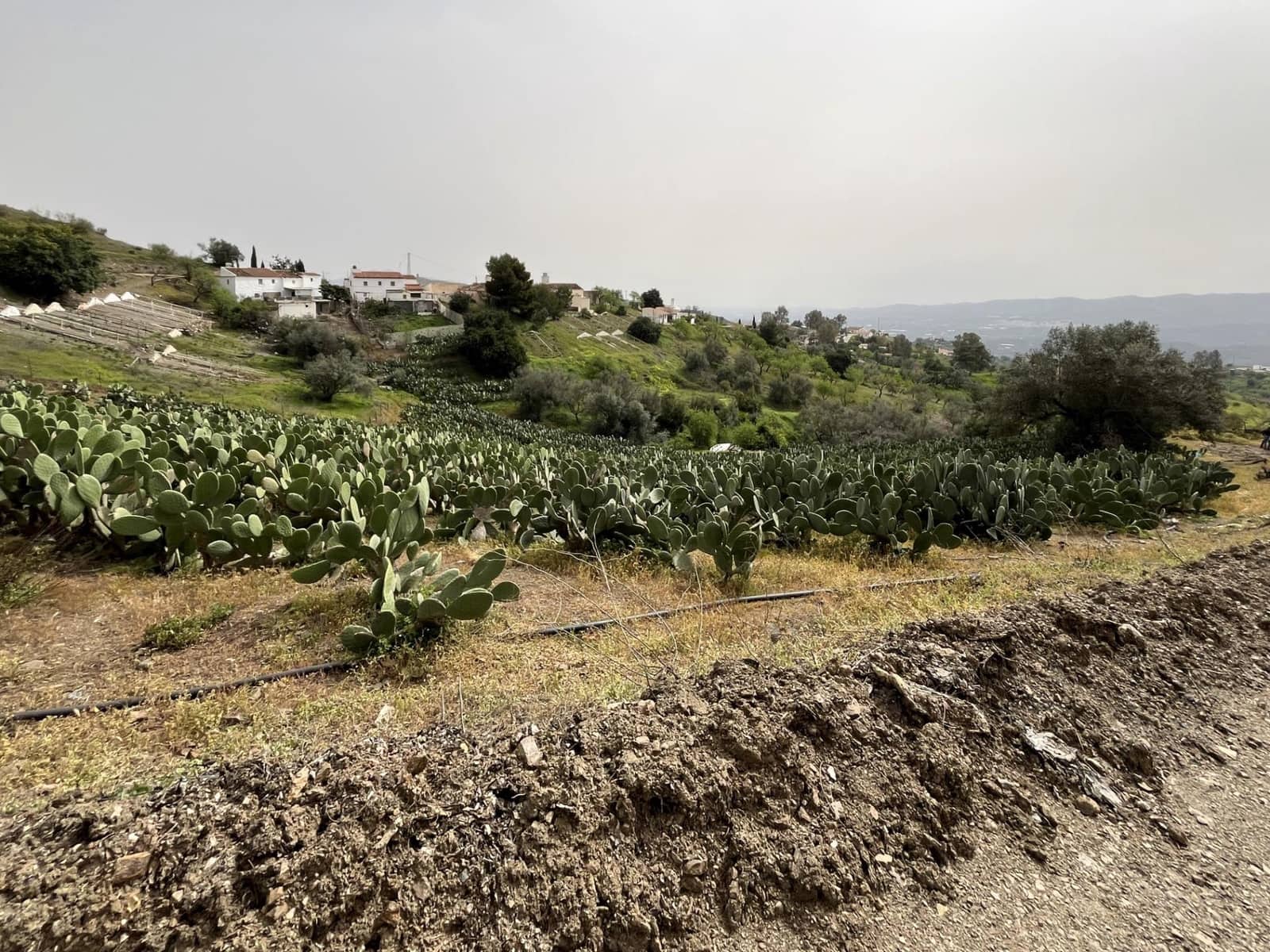 Terreno Não Urbanizado para venda em Velez-Malaga - 135 000 € (Ref: 9666449)