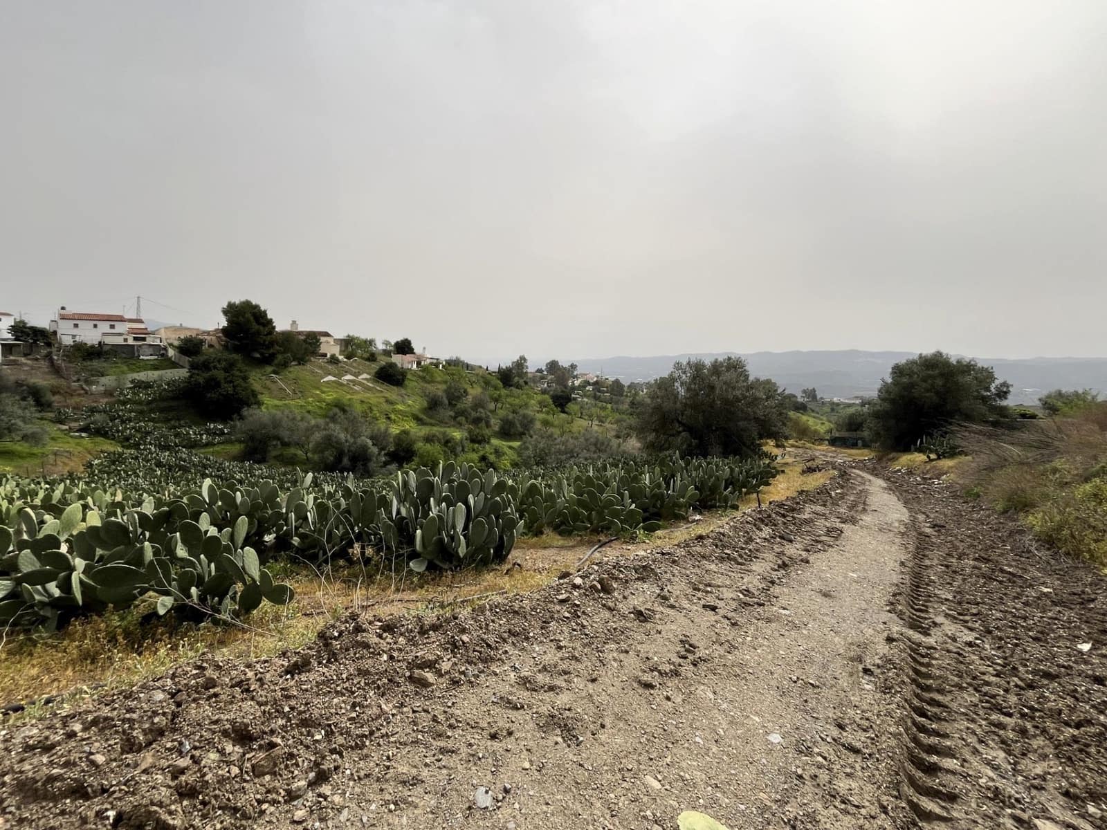 Terreno Não Urbanizado para venda em Velez-Malaga - 135 000 € (Ref: 9666449)