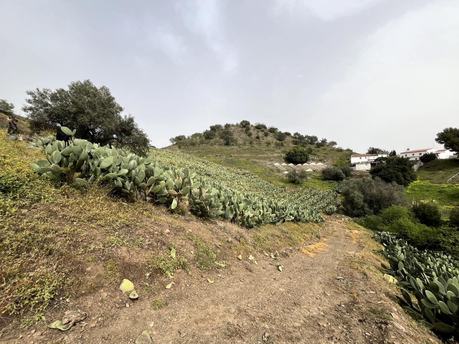 Terreno Não Urbanizado para venda em Velez-Malaga - 135 000 € (Ref: 9666449)