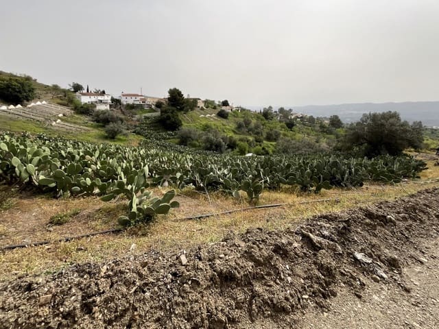 Teren niezagospodarowany na sprzedaż w Vélez-Málaga - 135 000 € (Ref: 9666449)