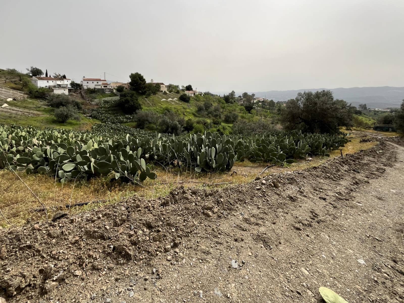 Terreno Não Urbanizado para venda em Velez-Malaga - 135 000 € (Ref: 9666449)