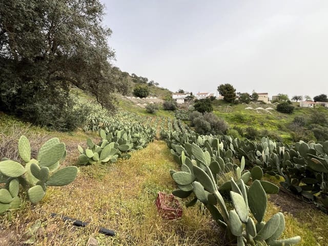 Teren niezagospodarowany na sprzedaż w Vélez-Málaga - 135 000 € (Ref: 9666449)