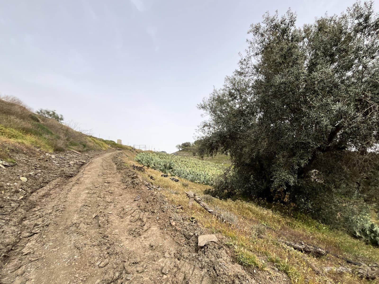 Terreno Não Urbanizado para venda em Velez-Malaga - 135 000 € (Ref: 9666449)