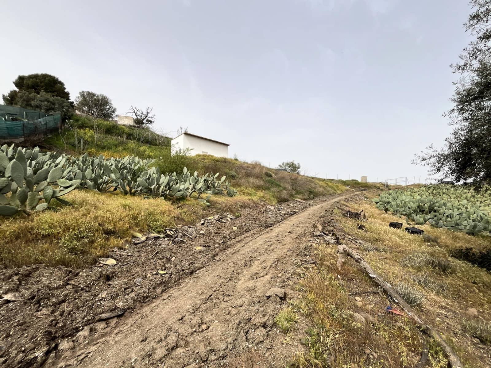 Terreno Não Urbanizado para venda em Velez-Malaga - 135 000 € (Ref: 9666449)