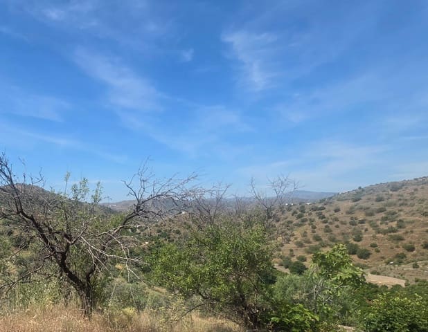 1 bedroom Finca/Country House for sale in Canillas de Aceituno - € 45,000 (Ref: 9893821)