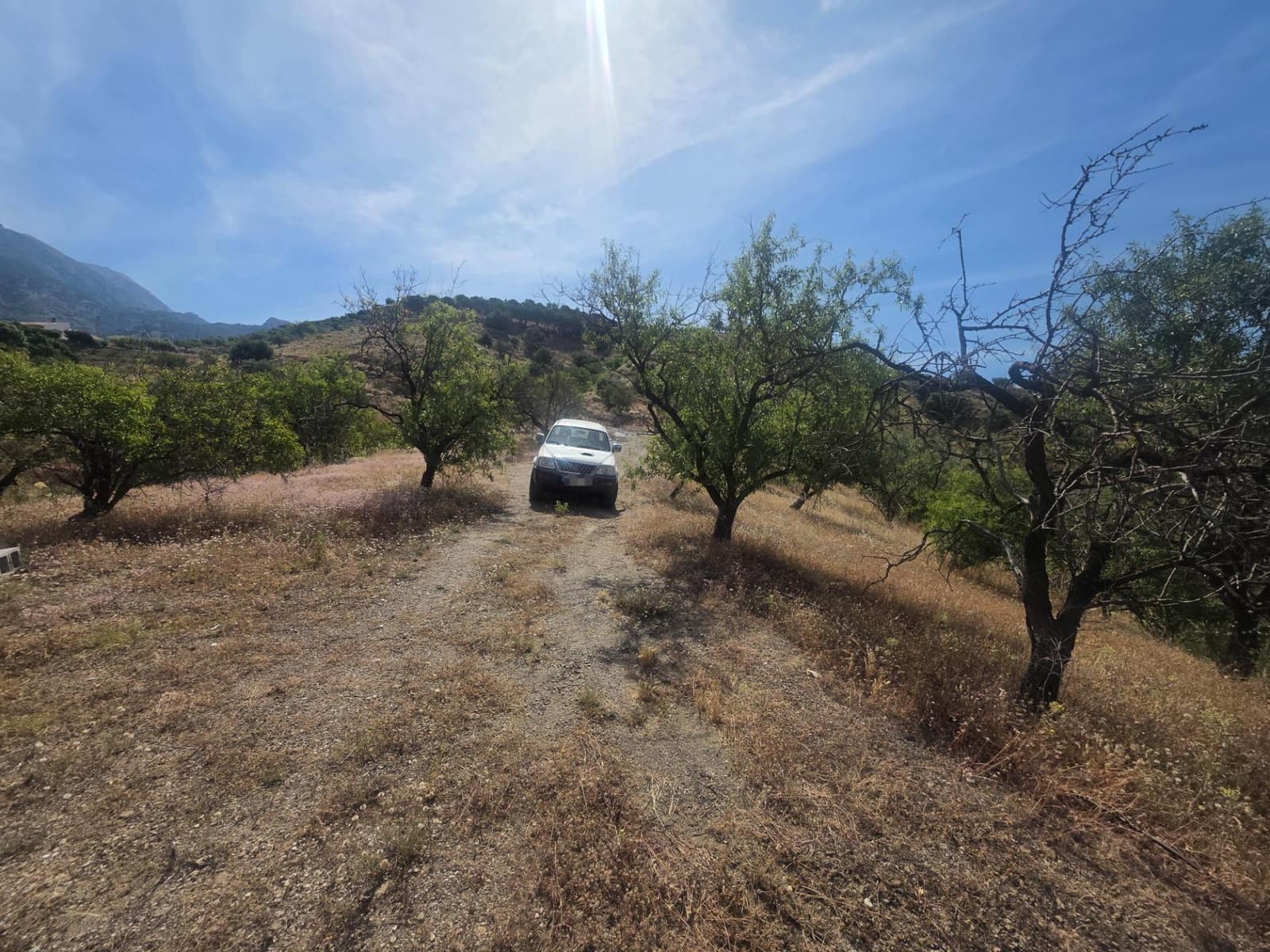 1 bedroom Finca/Country House for sale in Canillas de Aceituno - € 45,000 (Ref: 9893821)