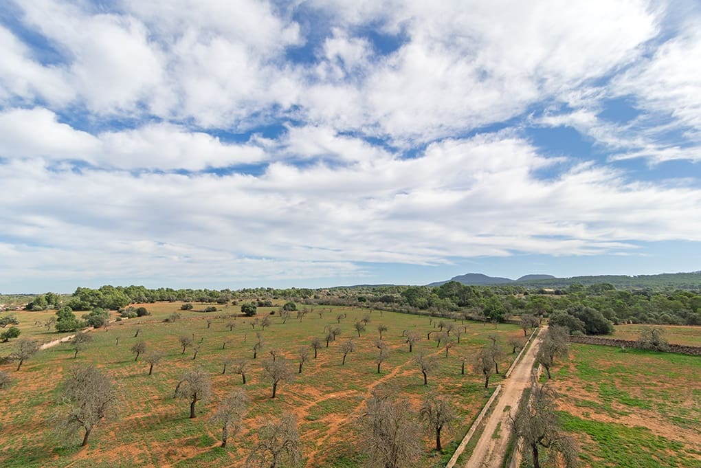 12 chambre Villa/Maison à vendre à Algaida - 5 900 000 € (Ref: 8429250)