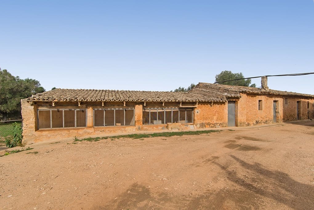 12 chambre Villa/Maison à vendre à Algaida - 5 900 000 € (Ref: 8429250)