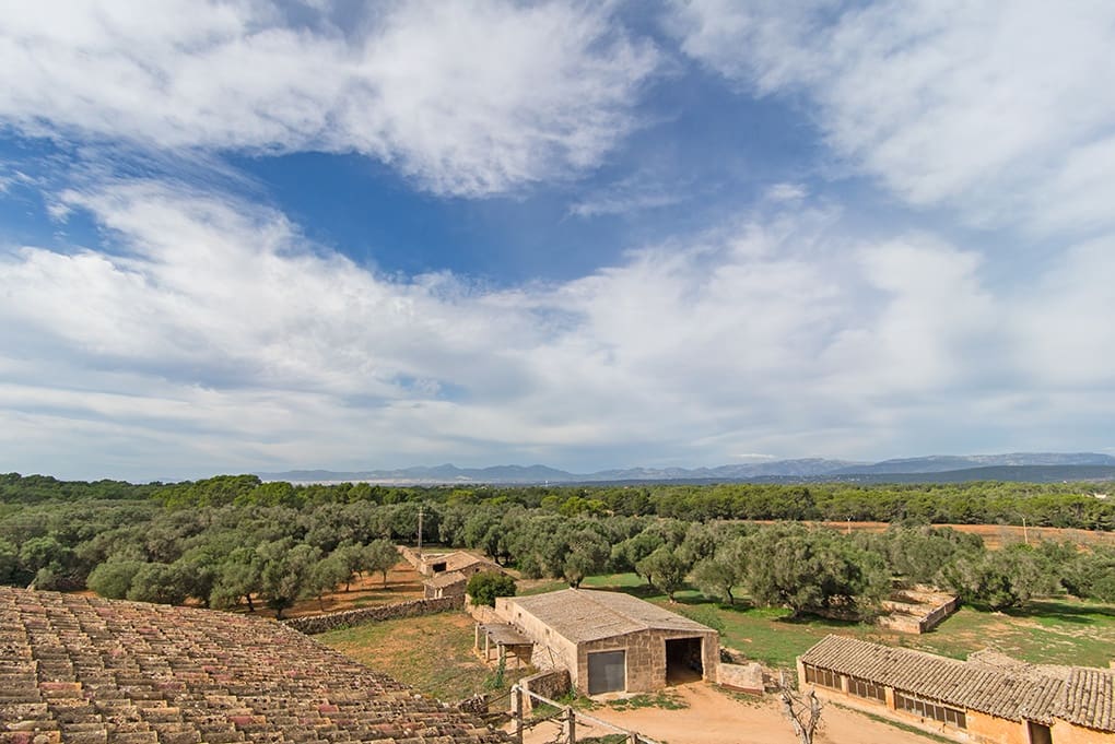 12 chambre Villa/Maison à vendre à Algaida - 5 900 000 € (Ref: 8429250)