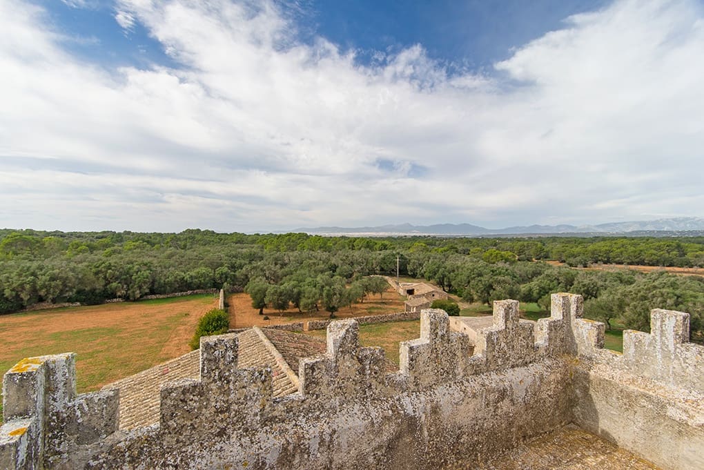 12 chambre Villa/Maison à vendre à Algaida - 5 900 000 € (Ref: 8429250)