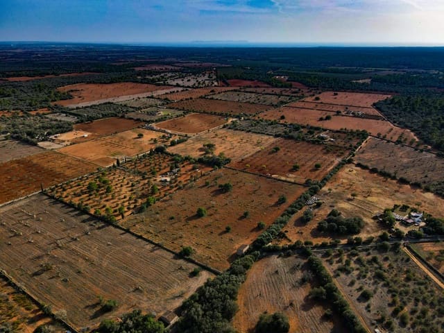 Finca/Landehus til salg i Llucmajor - € 320.000 (Ref: 8738649)