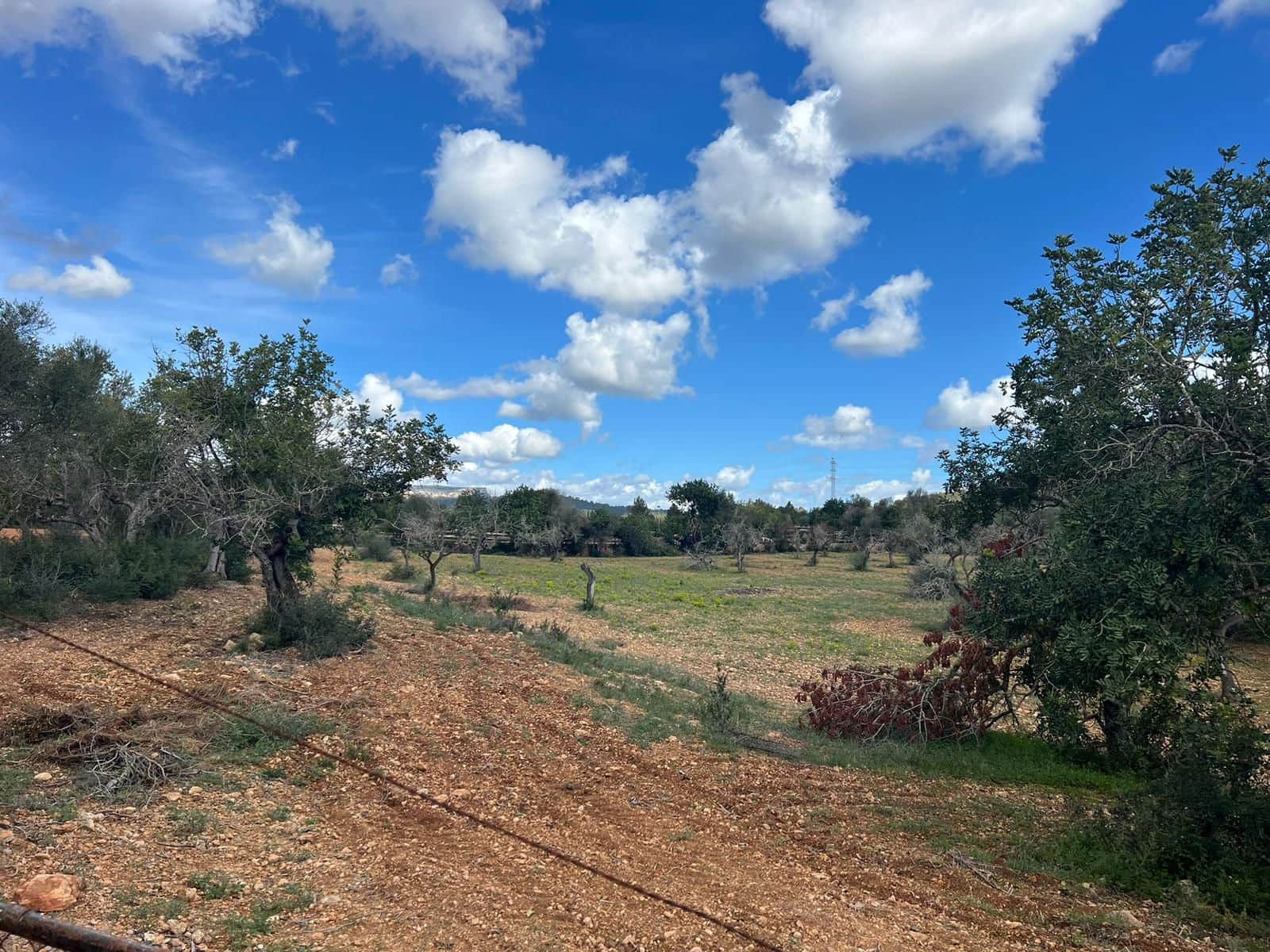 Rakentamaton maa myytävänä paikassa Llucmajor - 246 000 € (Ref: 8751524)