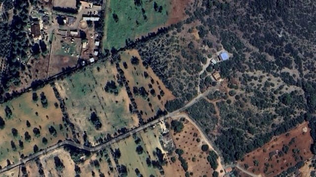 Rakentamaton maa myytävänä paikassa Llucmajor - 246 000 € (Ref: 8751524)