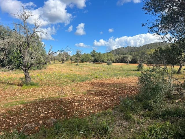 Rakentamaton maa myytävänä paikassa Llucmajor - 246 000 € (Ref: 8751524)