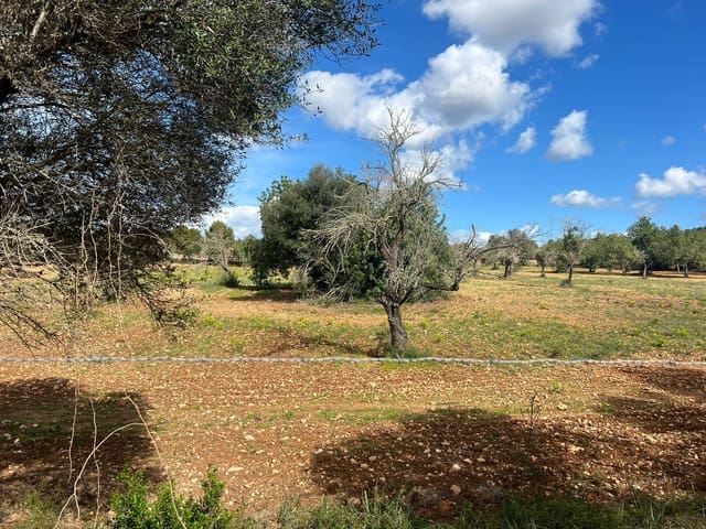 Rakentamaton maa myytävänä paikassa Llucmajor - 246 000 € (Ref: 8751524)