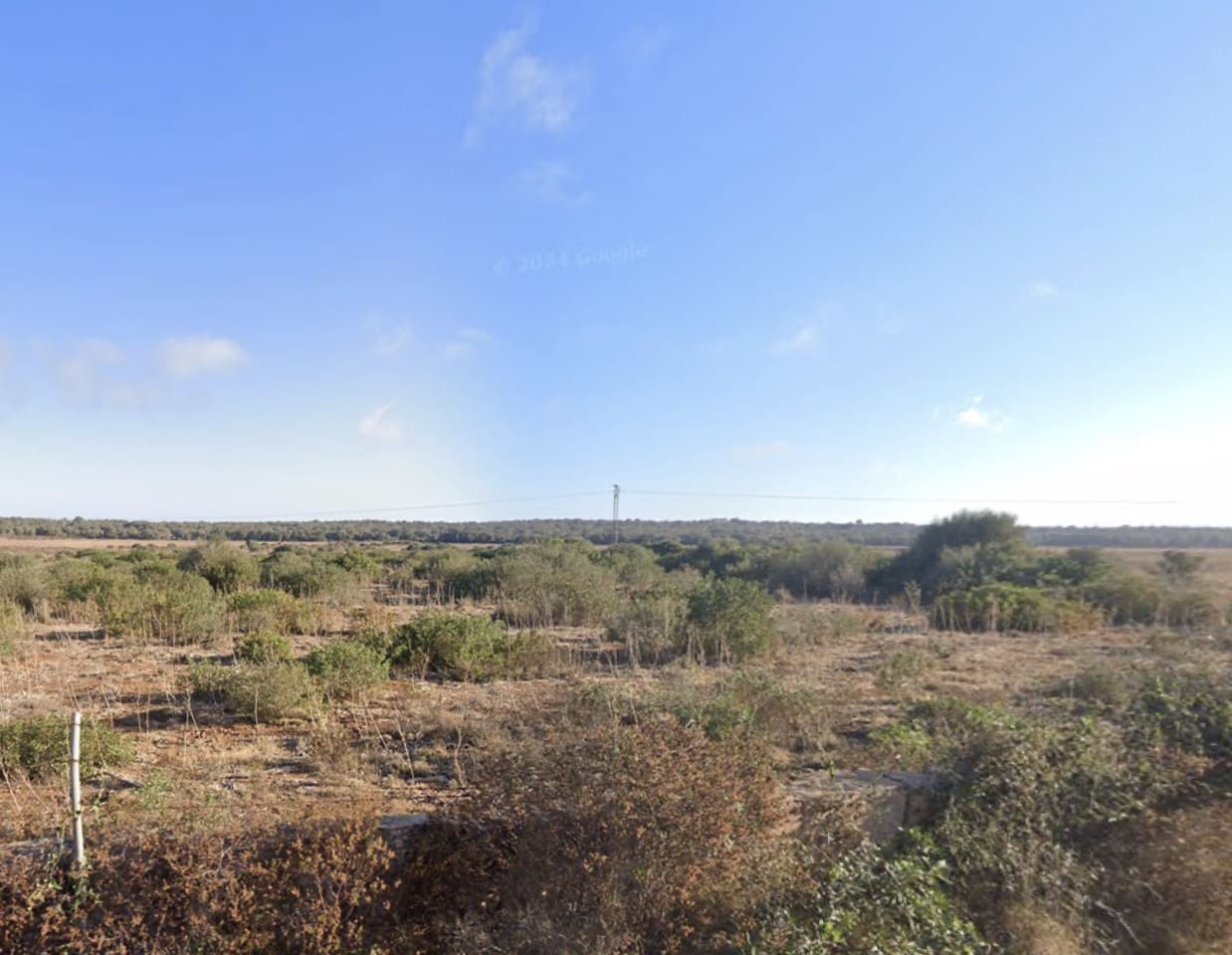 Rakentamaton maa myytävänä paikassa Ses Salines - 370 000 € (Ref: 8850039)