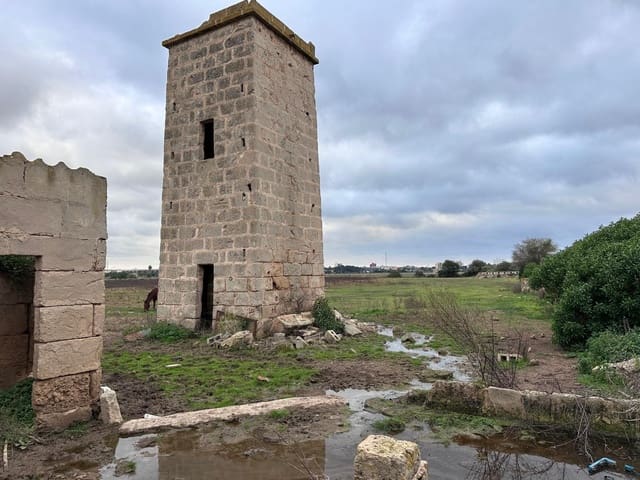 Grunde uden byggetilladelser til salg i Palma de Mallorca - € 670.000 (Ref: 8855215)