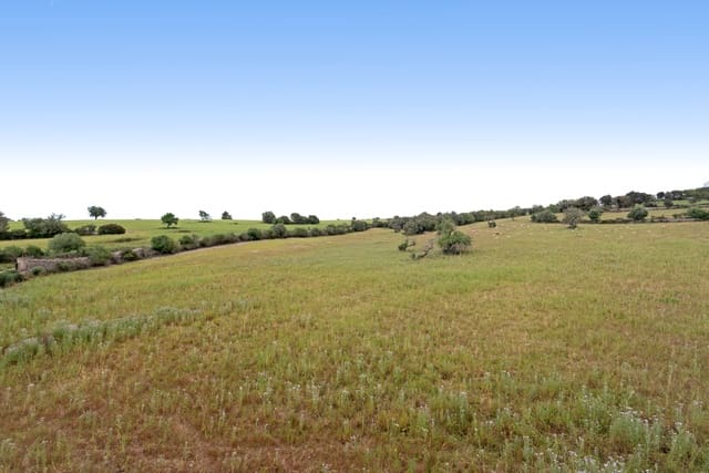 8 sovrum Finca/Hus på landet till salu i Algaida - 4 300 000 € (Ref: 8868365)