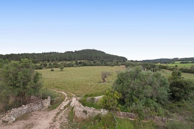 8 sovrum Finca/Hus på landet till salu i Algaida - 4 300 000 € (Ref: 8868365)