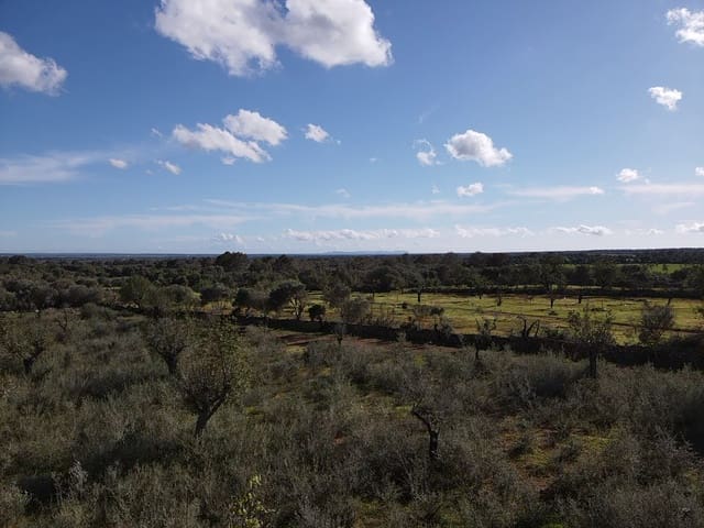 Undeveloped Land for sale in Llucmajor - € 249,000 (Ref: 8884903)