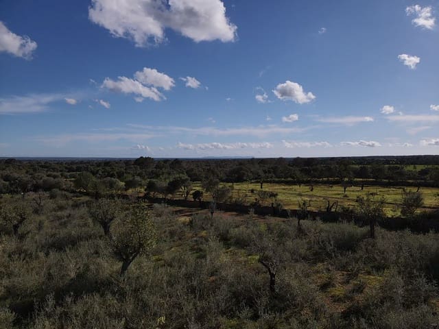 Undeveloped Land for sale in Llucmajor - € 249,000 (Ref: 8884903)