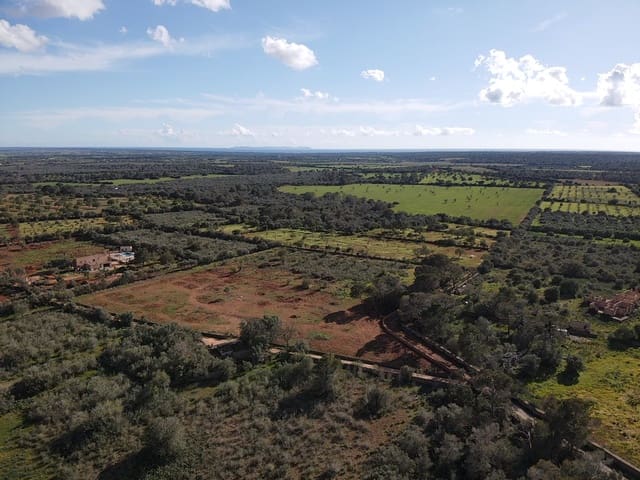 Undeveloped Land for sale in Llucmajor - € 249,000 (Ref: 8884903)