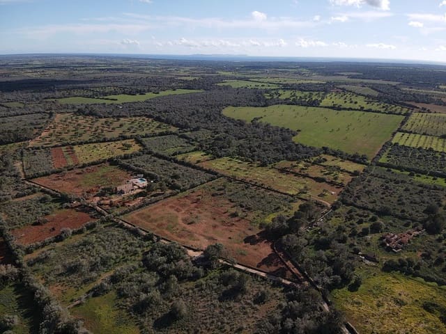 Undeveloped Land for sale in Llucmajor - € 249,000 (Ref: 8884903)