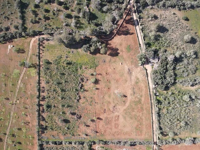 Undeveloped Land for sale in Llucmajor - € 249,000 (Ref: 8884903)