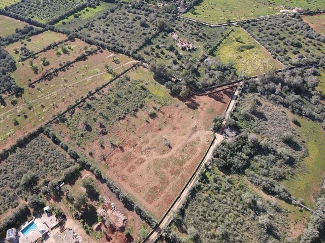 Undeveloped Land for sale in Llucmajor - € 249,000 (Ref: 8884903)