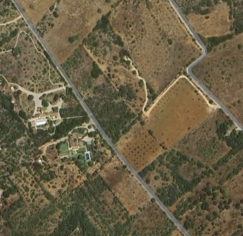 Rakentamaton maa myytävänä paikassa Ses Salines - 475 000 € (Ref: 8895337)