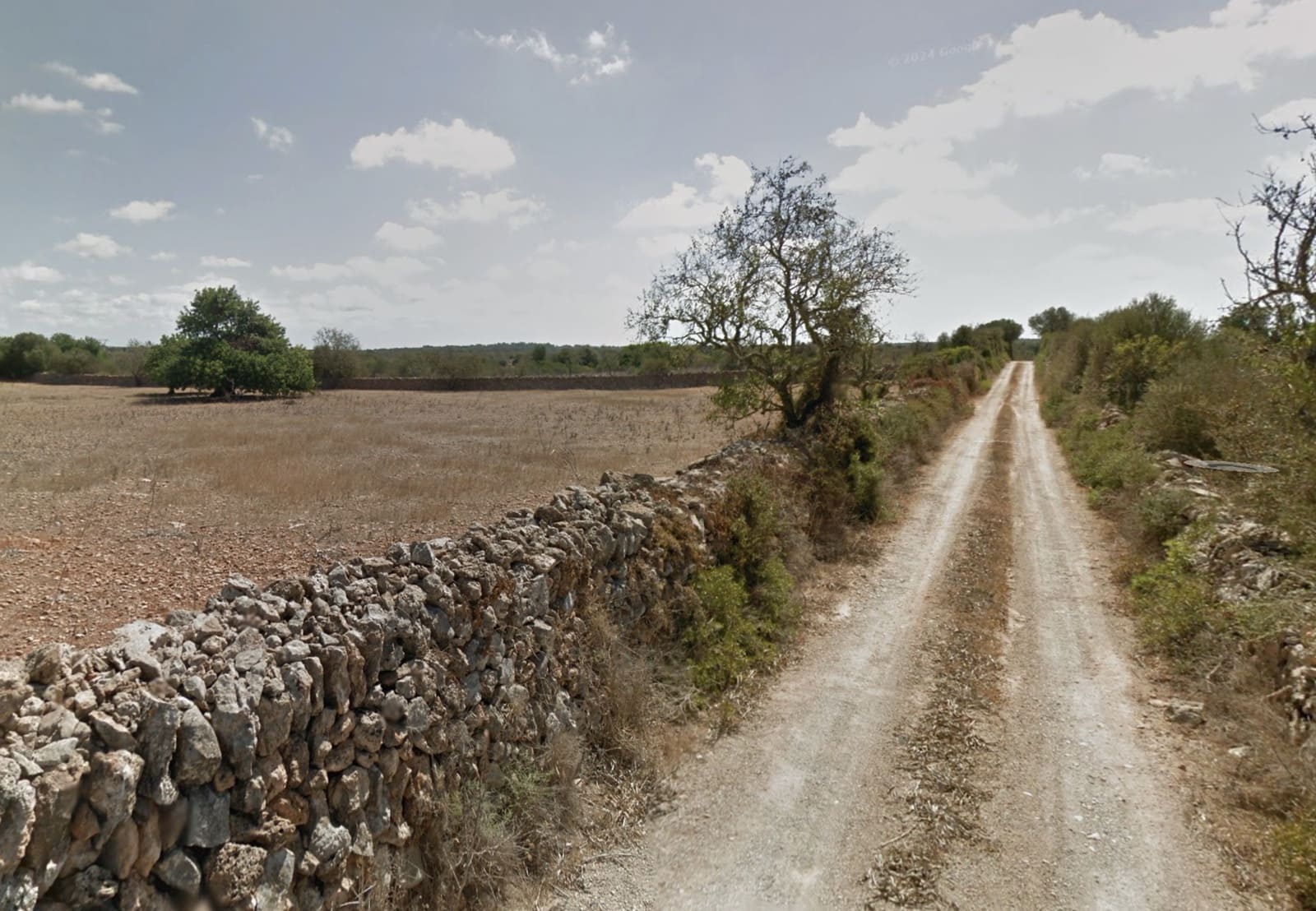 Mark till salu i Ses Salines - 475 000 € (Ref: 8895337)