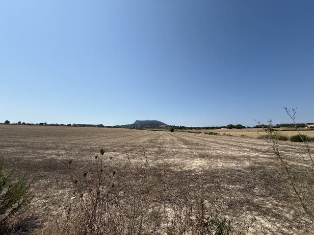 Maalaistalo myytävänä paikassa Algaida - 290 000 € (Ref: 9185723)