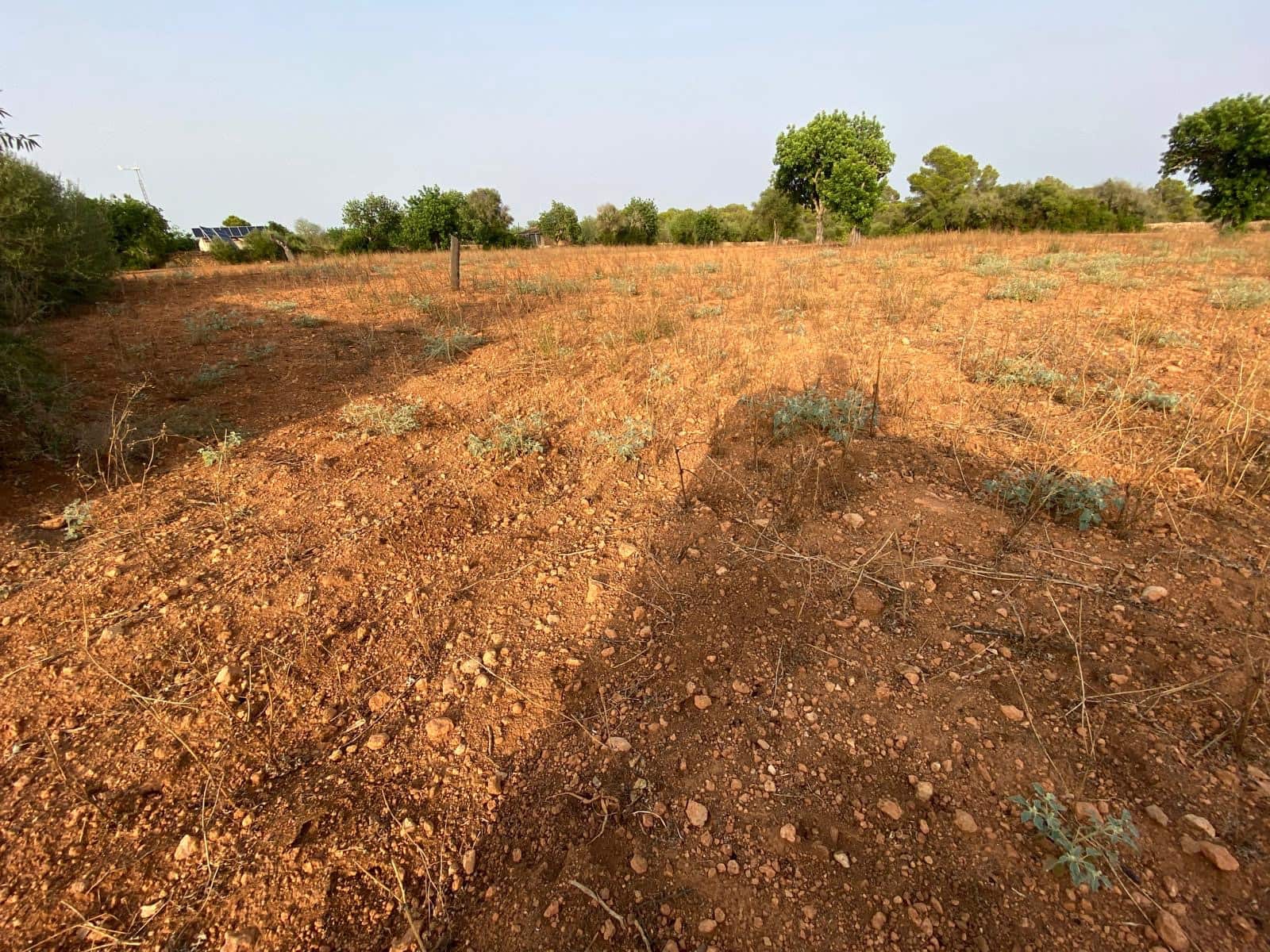 Finca/Country House for sale in Llucmajor - € 370,000 (Ref: 9368201)