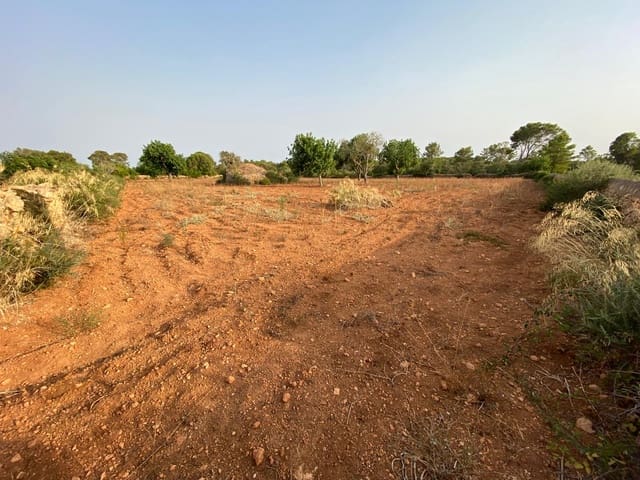 Finca/Landehus til salg i Llucmajor - € 370.000 (Ref: 9368201)