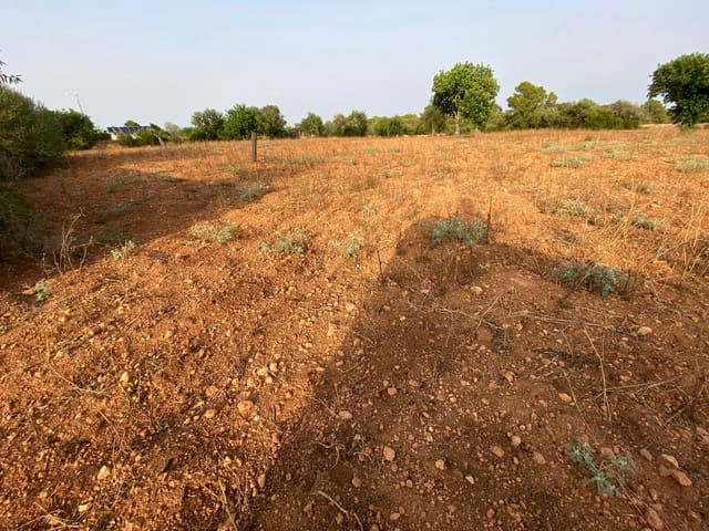 Finca/Landehus til salg i Llucmajor - € 370.000 (Ref: 9368201)