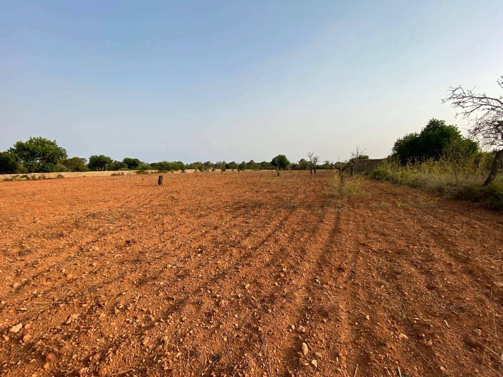 Finca/Country House for sale in Llucmajor - € 370,000 (Ref: 9368201)