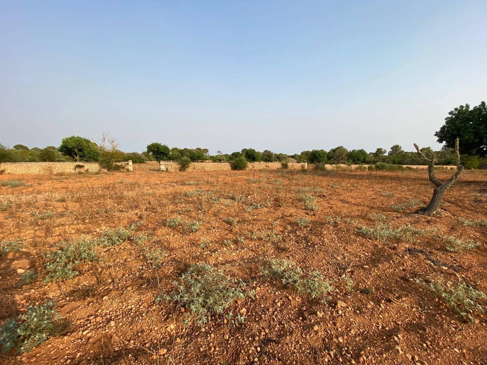 Finca/Country House for sale in Llucmajor - € 370,000 (Ref: 9368201)