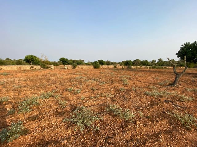 Finca/Landehus til salg i Llucmajor - € 370.000 (Ref: 9368201)